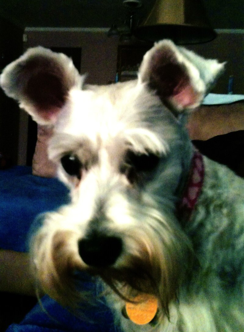 Freddy Joseph Viator - Photo 69