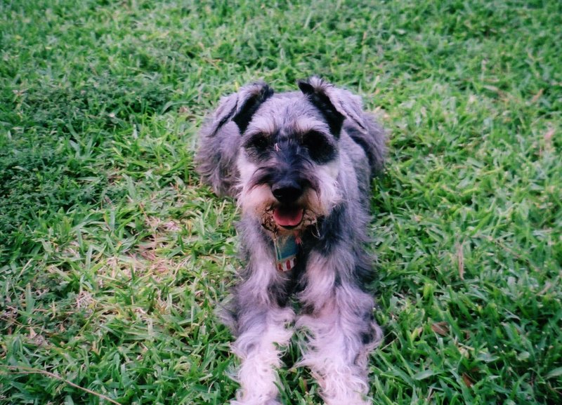 Freddy Joseph Viator - Photo 74