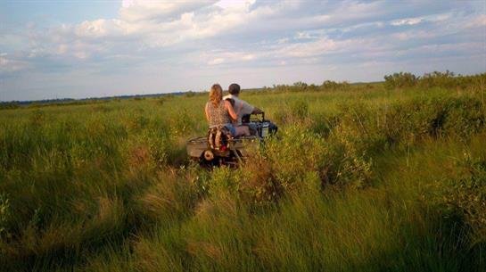 David McPherson - Photo 17