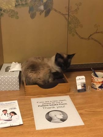 Christopher Lee Boehme M.D. - Photo 19