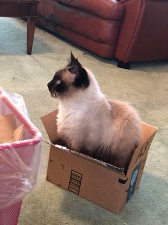 Christopher Lee Boehme M.D. - Photo 139