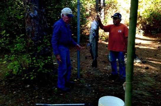 Jimmy G. Marshall - Photo 29