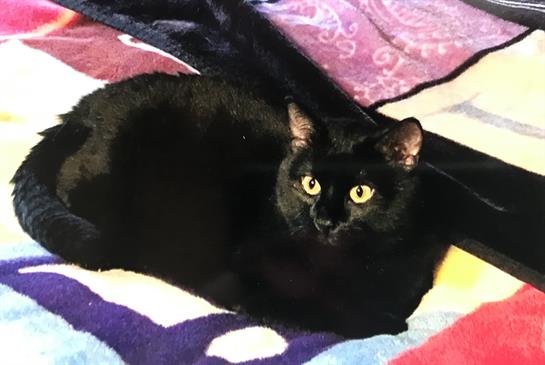 Jerral Reid Kay - Photo 4