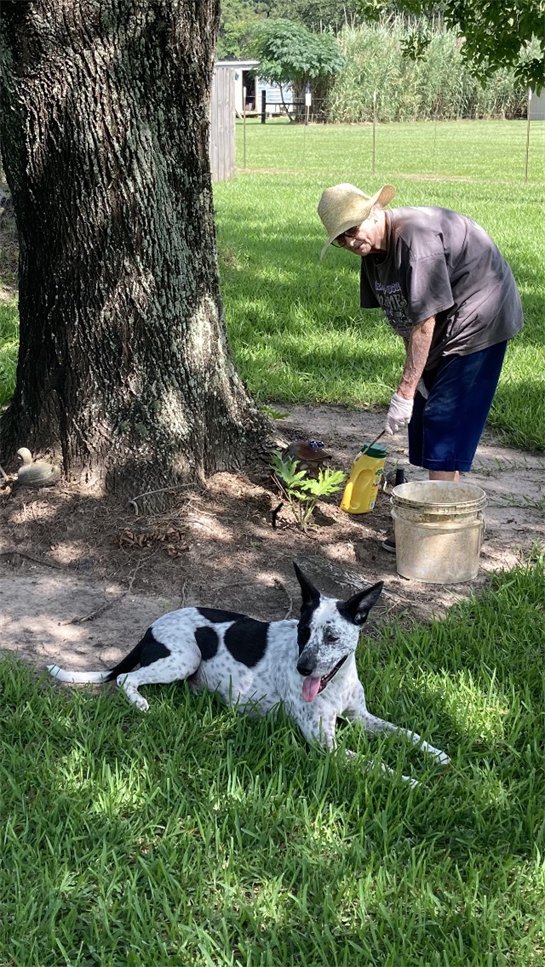 Geraline Lange - Photo 28