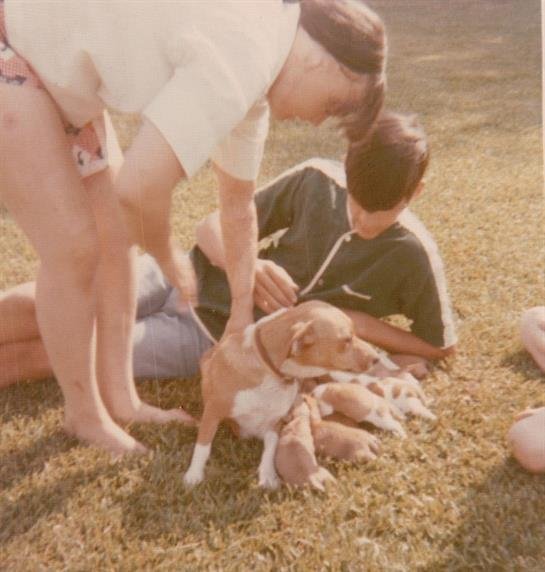 Debbie Bertrand - Photo 14