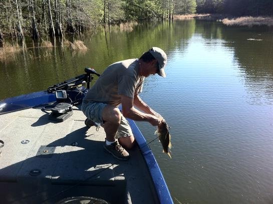 Gene Lummus - Photo 3