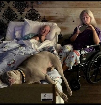 Omar Kenneth Swope - Photo 143