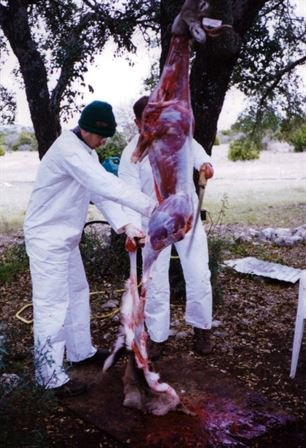 Christopher Wayne Berry - Photo 104