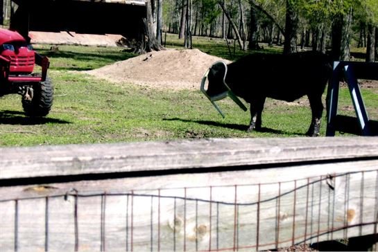 Loyd "Hoppy" Hopkins - Photo 54