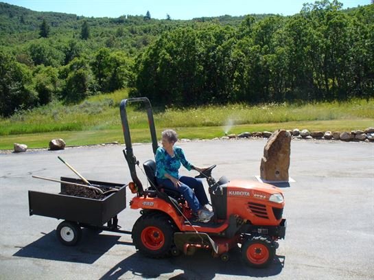 Violet Lola Branch - Photo 53