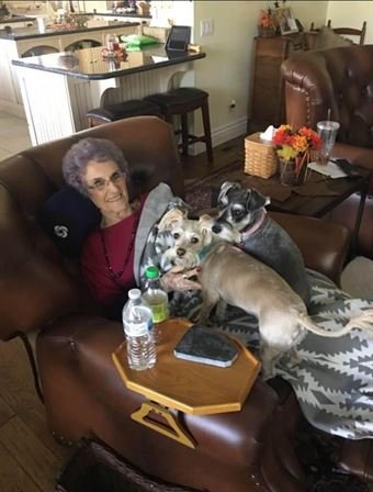 Violet Lola Branch - Photo 120