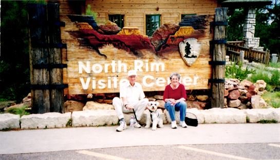 Violet Lola Branch - Photo 140