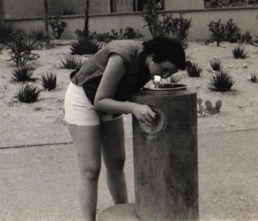 LaDonna Jean Laughlin - Photo 77