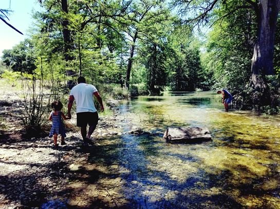 Jose Fernando Bercian - Photo 8