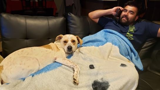 Jose Fernando Bercian - Photo 58