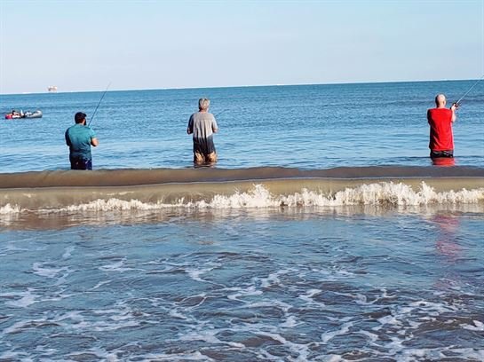 Jose Fernando Bercian - Photo 121