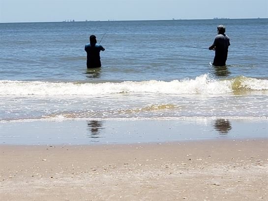 Jose Fernando Bercian - Photo 180