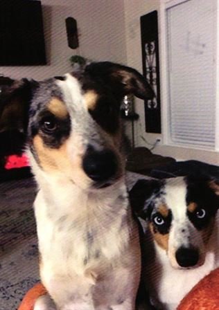 Kelly Denae Goodwin - Photo 30