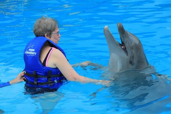 Ronna Ann Welsh Dickman - Photo 13