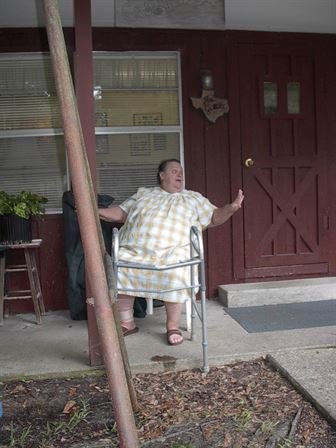 Mavis Seal - Photo 36