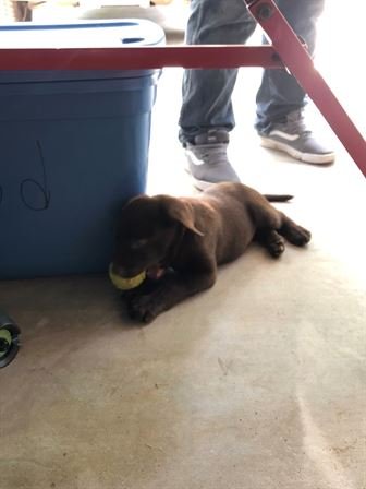 Evelyn Morris - Photo 30