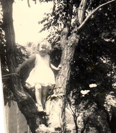 Evelyn Morris - Photo 33