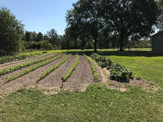 William Larry Fowler - Photo 89