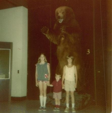 Rebecca Bradley - Photo 48