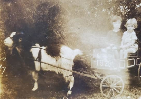 Billie Ann Wood - Photo 12