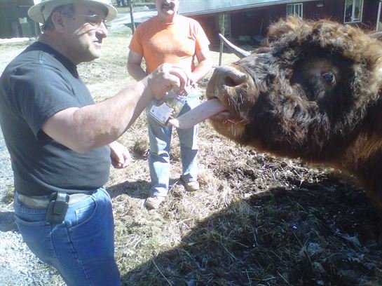 Paul Young - Photo 66