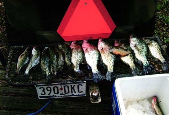 Ronald Joseph Trahan - Photo 96