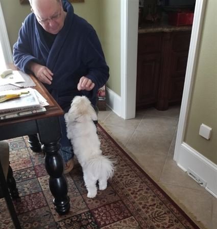 Michael DeRouen - Photo 90