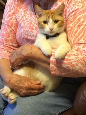 Billie Jean Morris - Photo 5