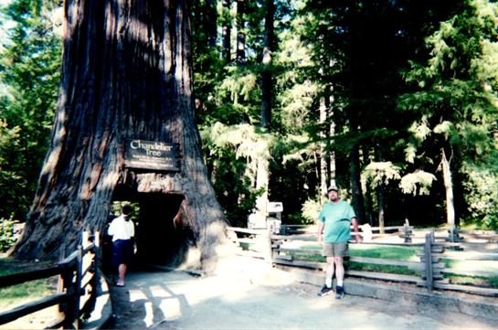 Michael Edger Weaver - Photo 44