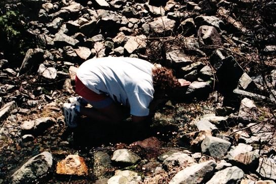 Kellye Jean Haney Ellis - Photo 83