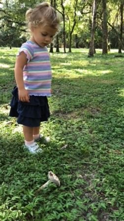 Stephen "Steve" Wayne Tarver - Photo 78