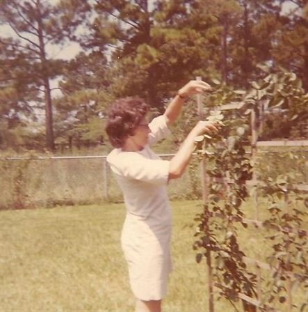 Vera Mae Perry - Photo 40