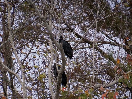 Bobby and Emily Duncan - Photo 12