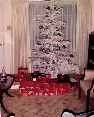 LaVerne S. Baldwin - Photo 67