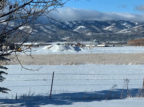 Maxine M. Morgan - Photo 97