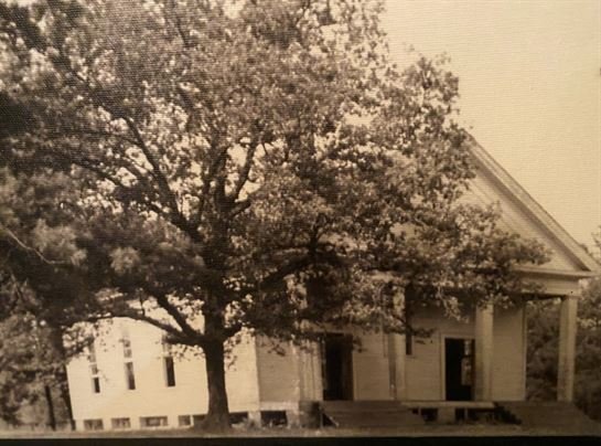 Maxine M. Morgan - Photo 157