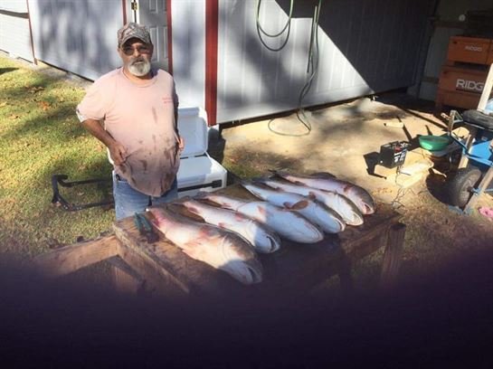 James Allen Oliver - Photo 37