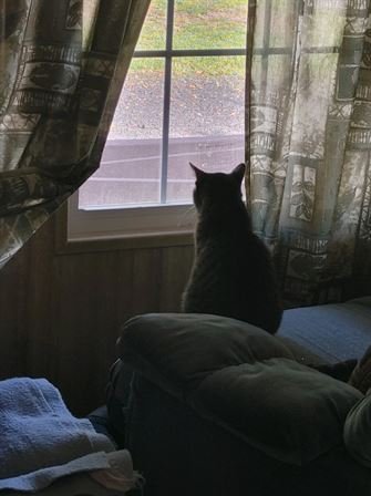 Dorothy Evelyn Atkins Harris Luther - Photo 43