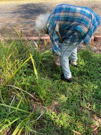 Dorothy Evelyn Atkins Harris Luther - Photo 94