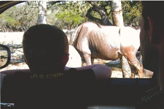 Robert "Rob" Gerald Folsom - Photo 42