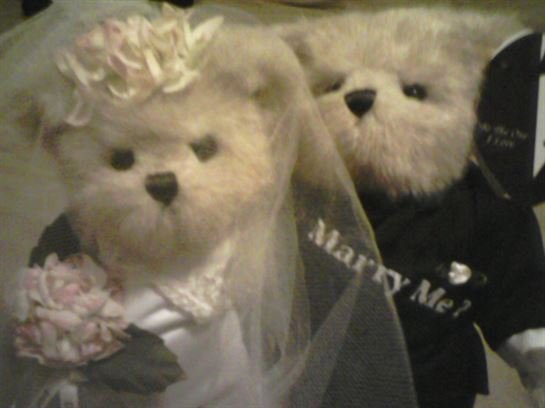 Tammie Marie Hollis Zerko - Photo 13