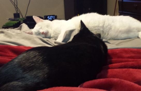 Tammie Marie Hollis Zerko - Photo 19