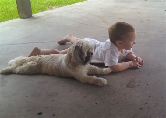 Tammie Marie Hollis Zerko - Photo 31