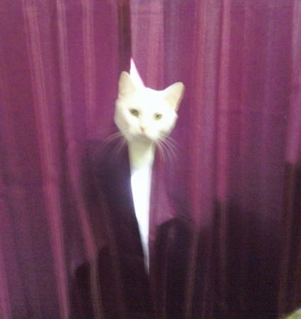 Tammie Marie Hollis Zerko - Photo 33