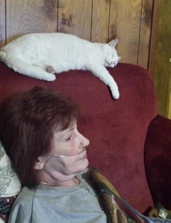 Tammie Marie Hollis Zerko - Photo 107